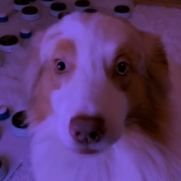 Meet your Posher, Faith - Picture 3 of 4